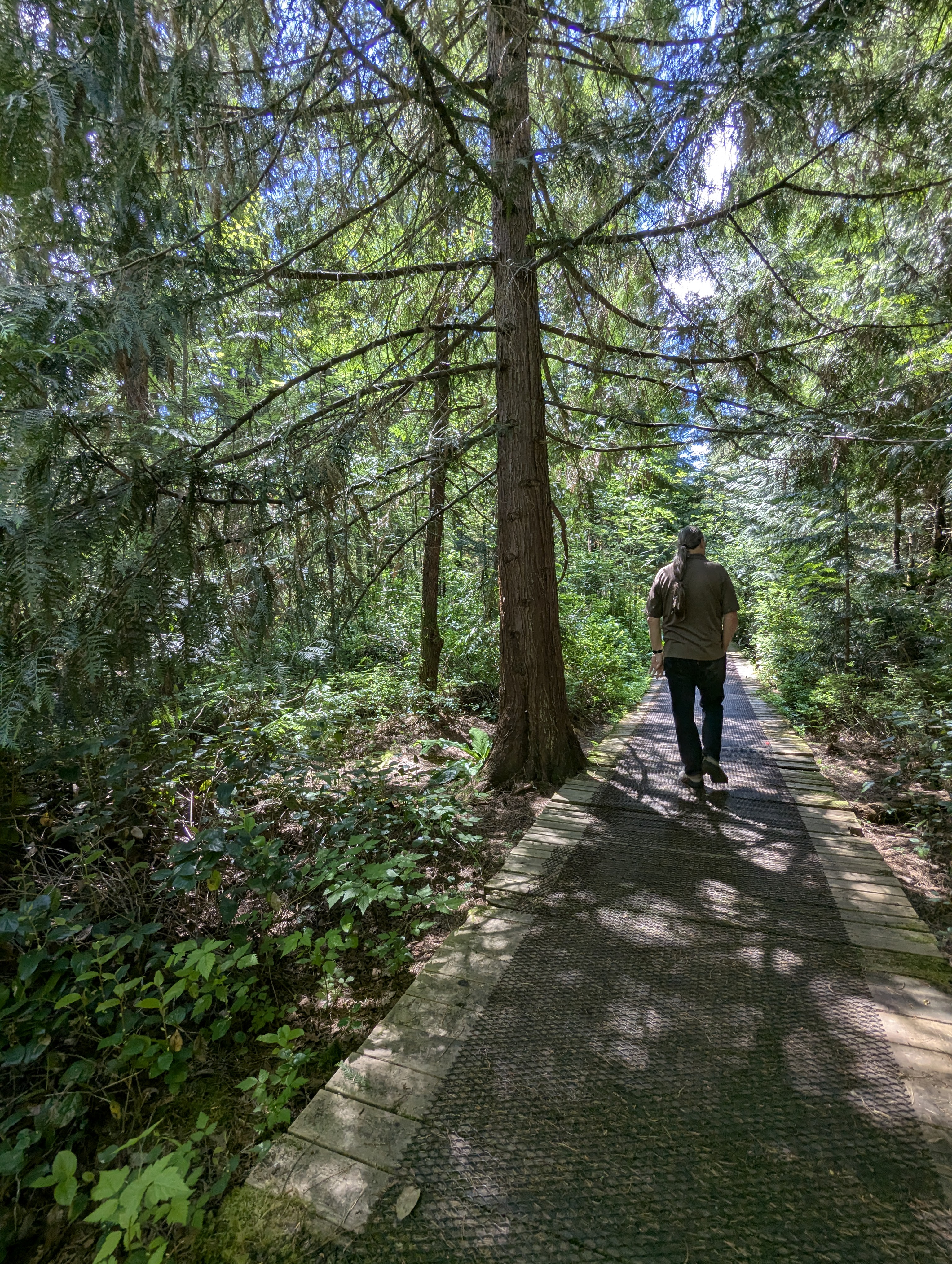 Birthday Trip to Canada, Delta, Burns Bog, Vancouver, British Columbia